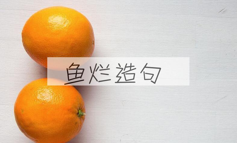 用鱼烂造句