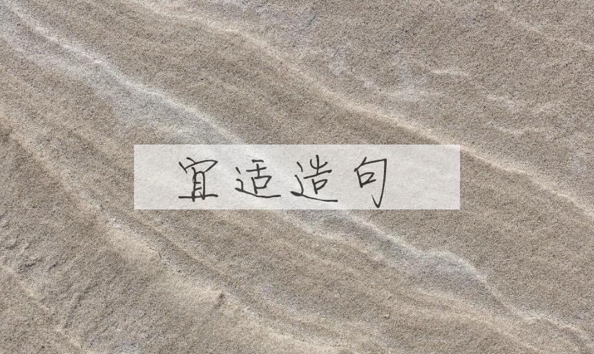 用宜适造句