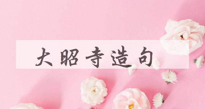 用大昭寺造句