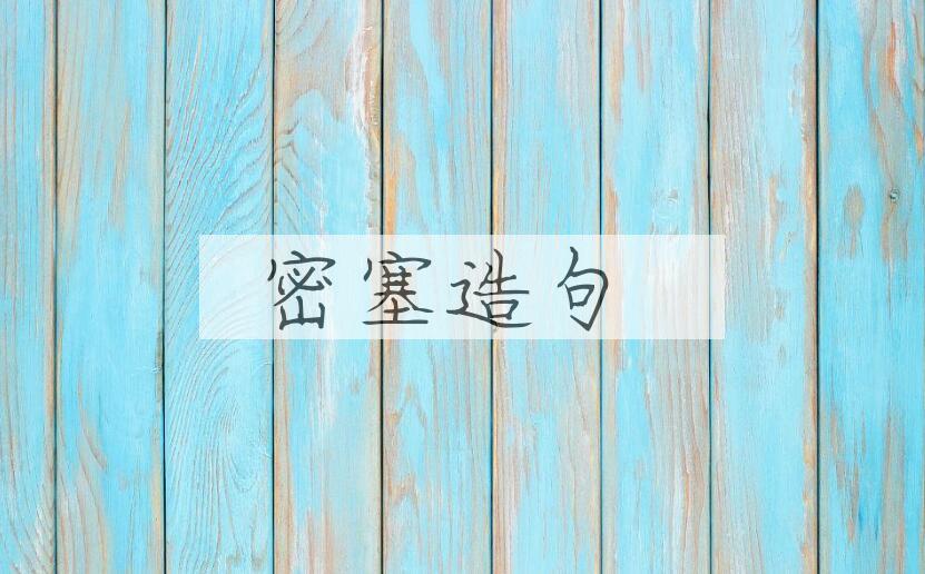 用密塞造句