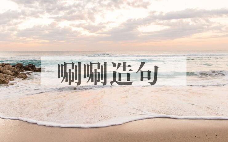 用唰唰造句