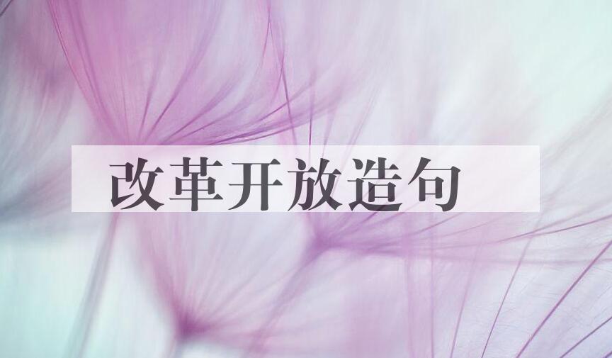 用改革开放造句