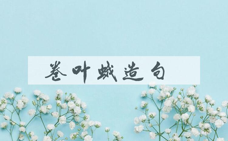 用卷叶蛾造句