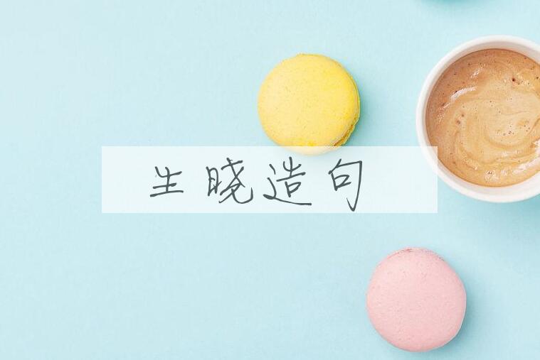 用生晓造句