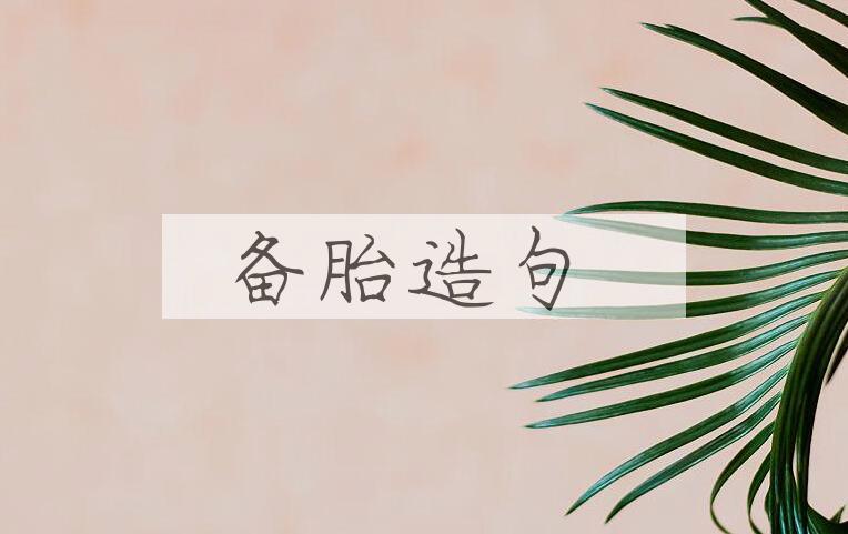 用备胎造句
