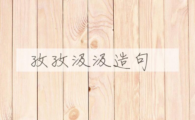 用孜孜汲汲造句