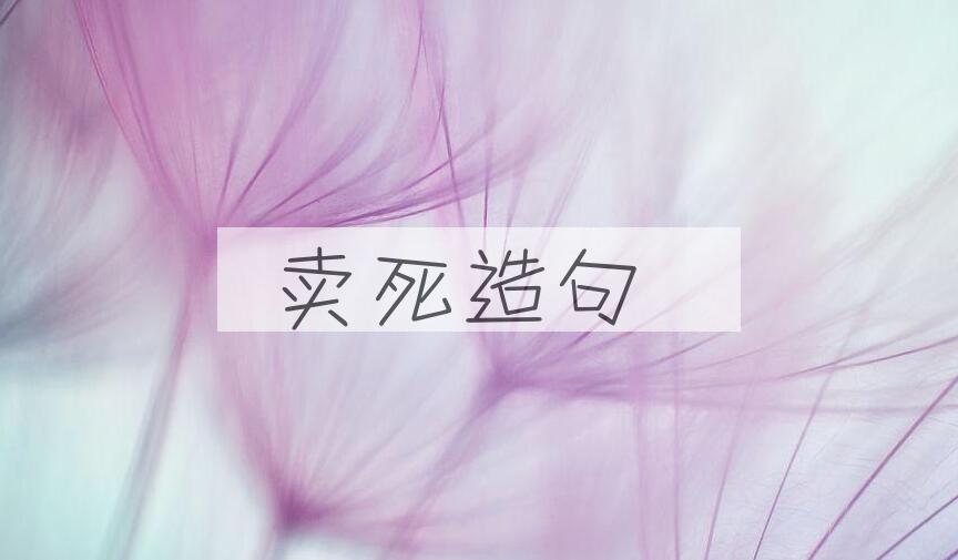 用卖死造句