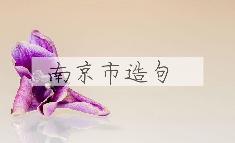 用南京市造句