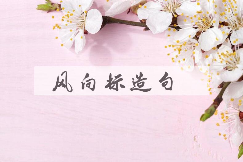 用风向标造句