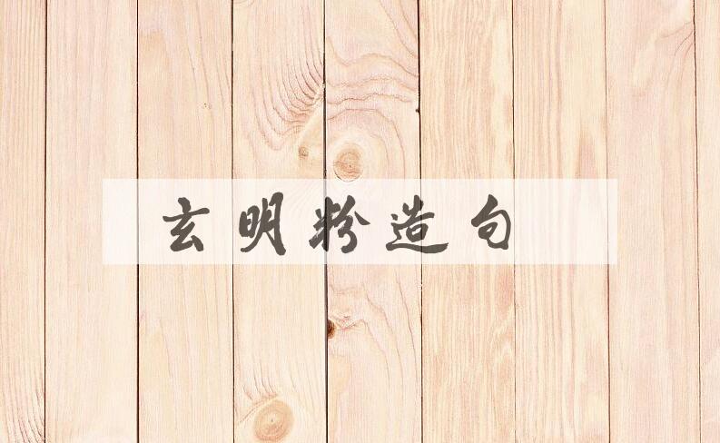 用玄明粉造句