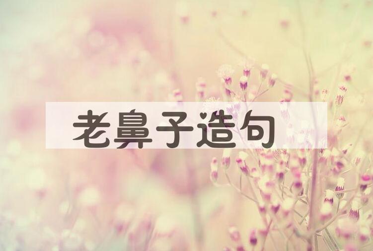 用老鼻子造句