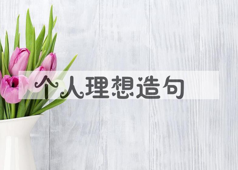 用个人理想造句