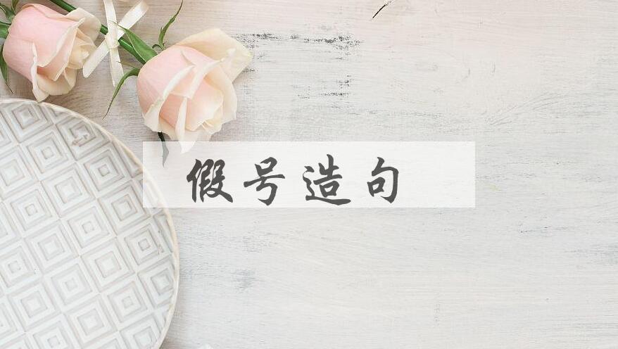 用假号造句