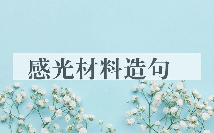 用感光材料造句