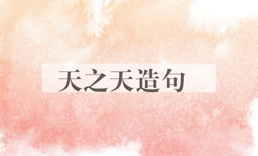 用天之天造句