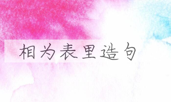 用相为表里造句
