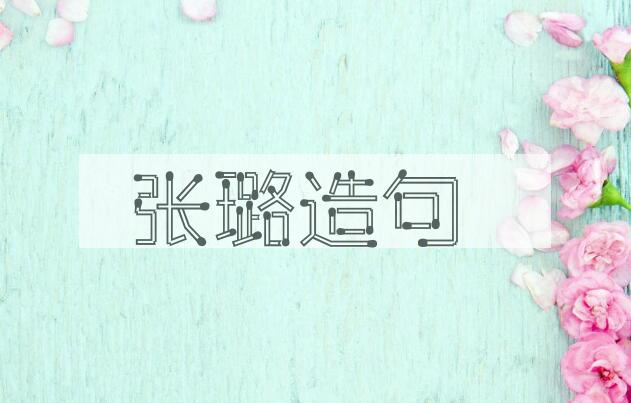 用张璐造句