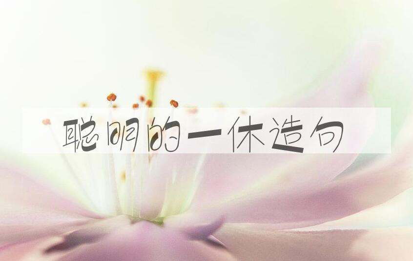 用聪明的一休造句