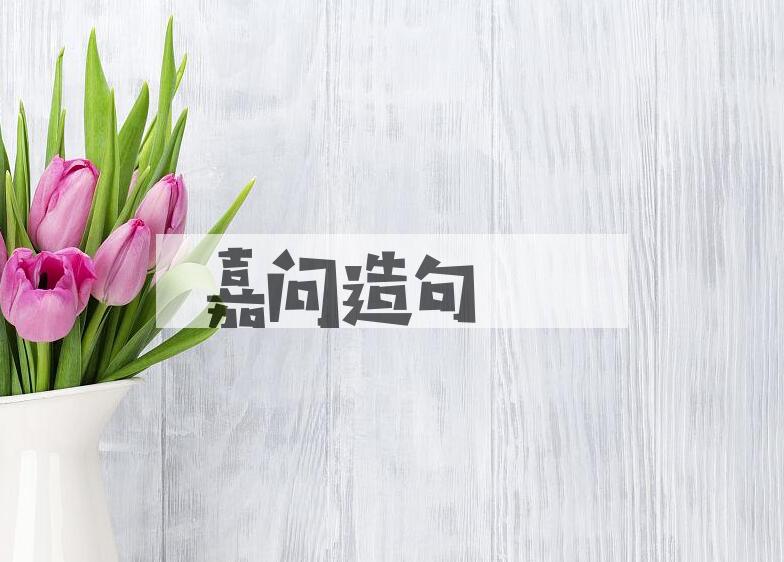 用嘉问造句
