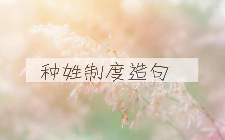 用种姓制度造句