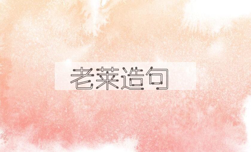 用老莱造句