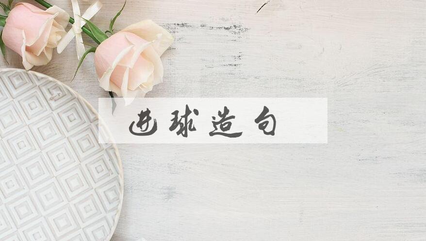 用进球造句