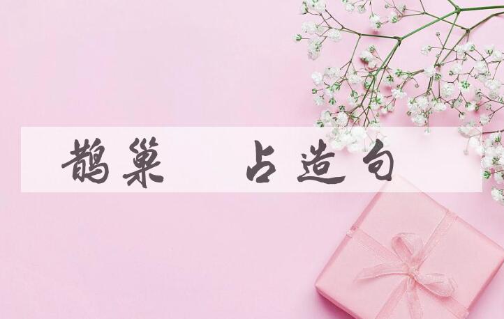 用鹊巢鸠占造句