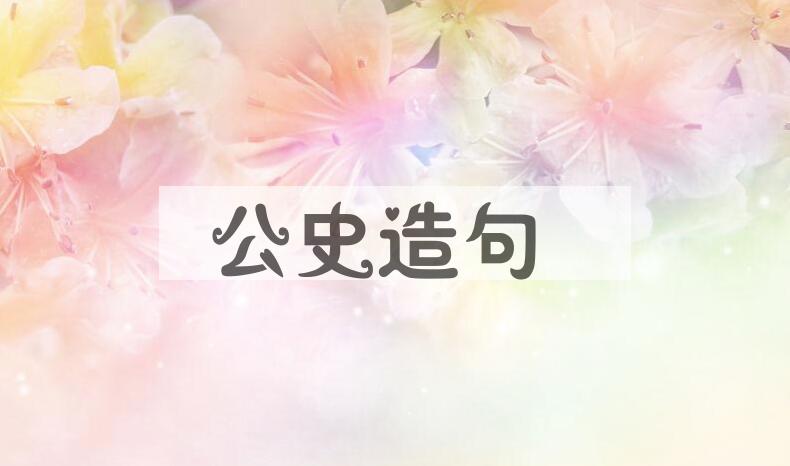 用公史造句