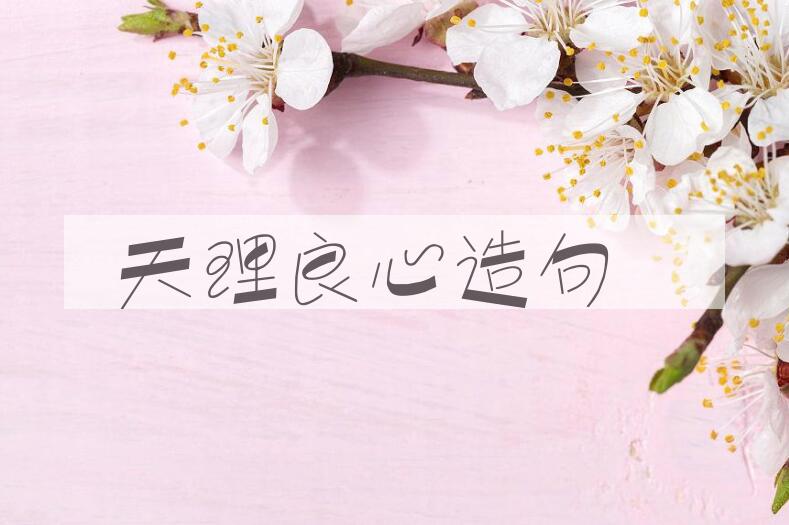 用天理良心造句