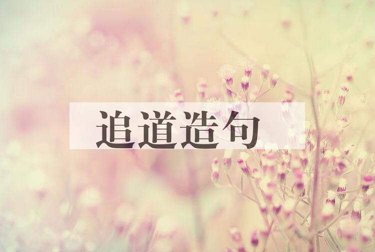 用追道造句