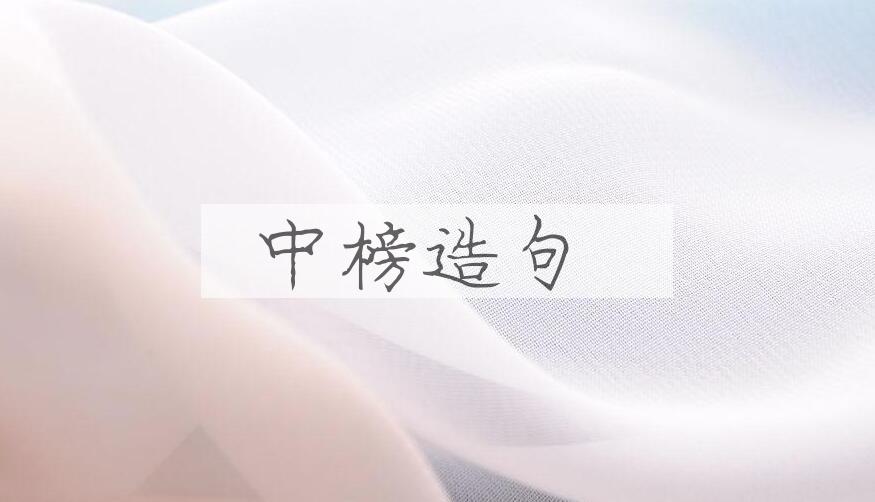 用中榜造句