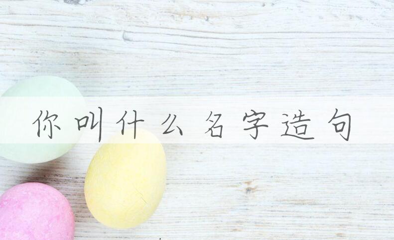 用你叫什么名字造句