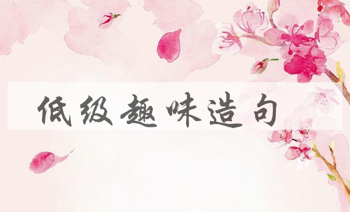 用低级趣味造句
