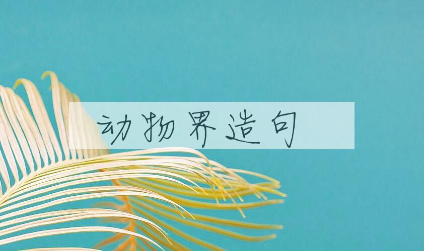 用动物界造句