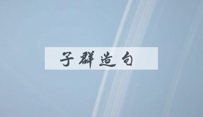用子群造句