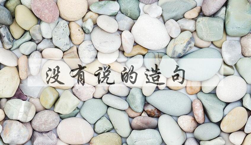 用没有说的造句