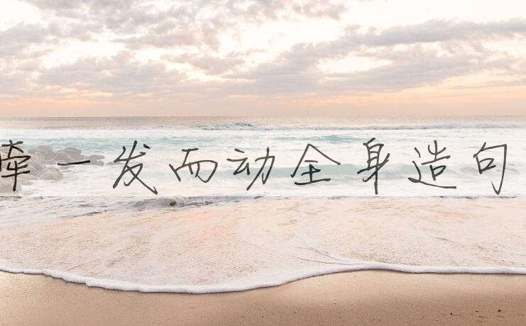 用牵一发而动全身造句