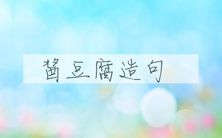 用酱豆腐造句