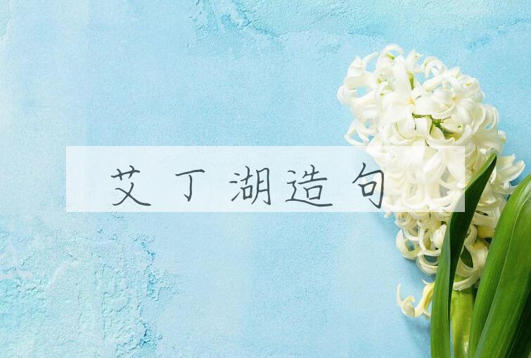 用艾丁湖造句