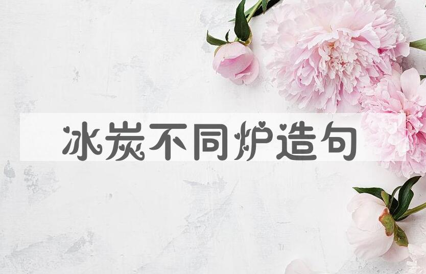 用冰炭不同炉造句