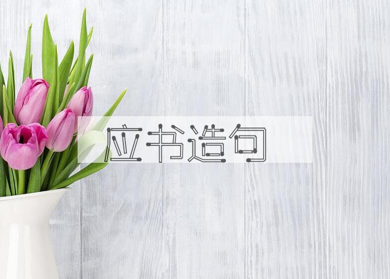 用应书造句