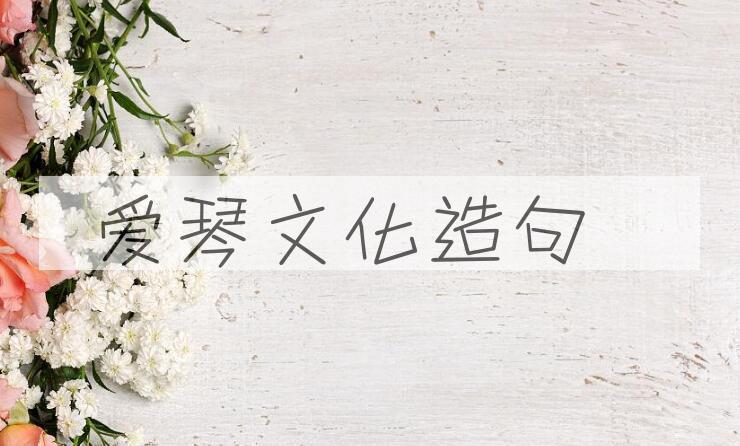 用爱琴文化造句