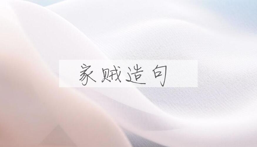 用家贼造句