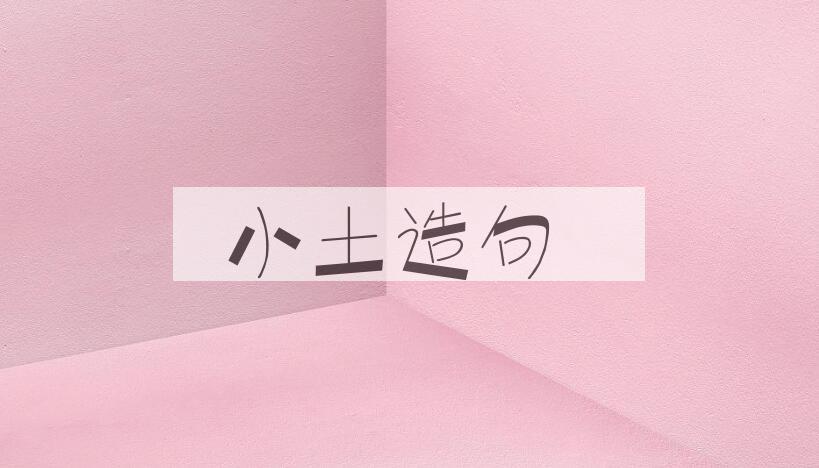 用小土造句