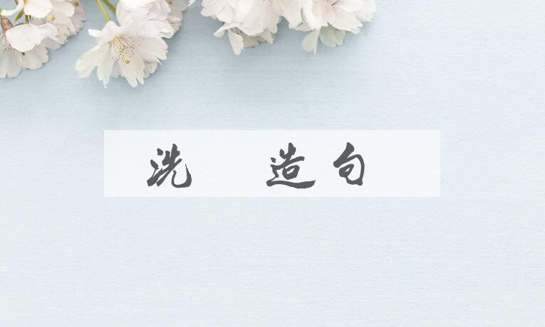 用洗泥造句