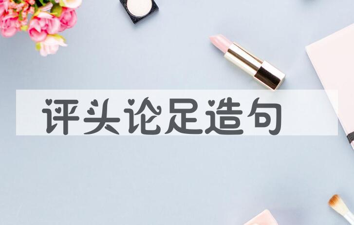 用评头论足造句