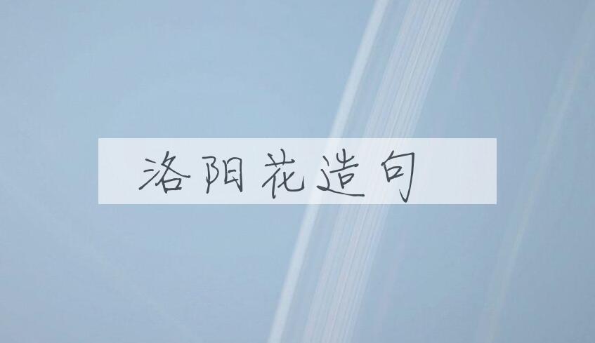 用洛阳花造句