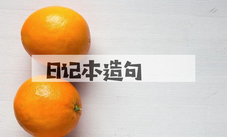 用日记本造句