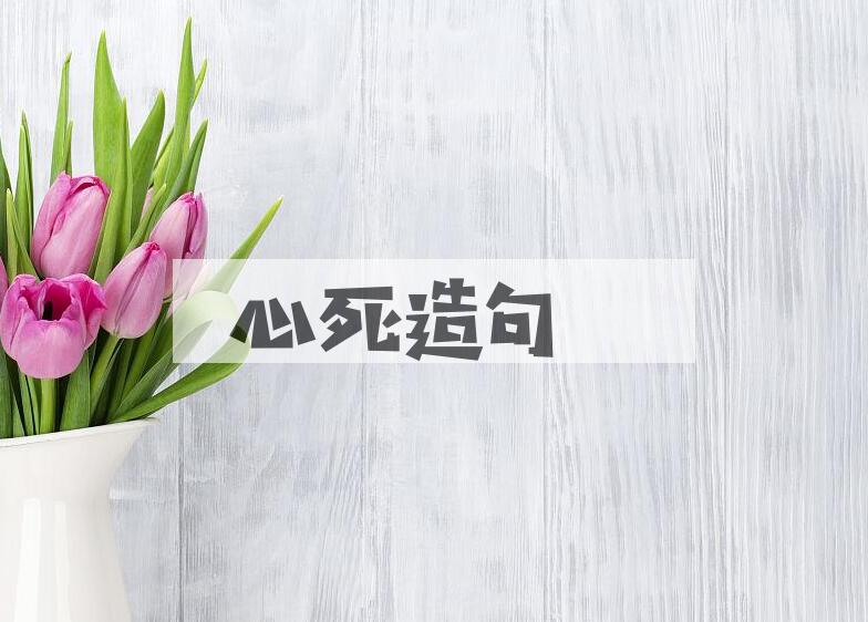 用心死造句