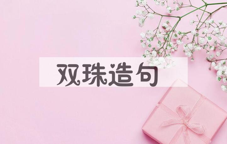 用双珠造句